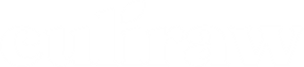 Culiraw Protein Cheesecakes